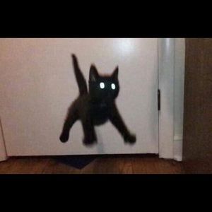 Meet your Posher, George